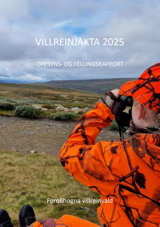 Nå er oppsyns- og fellingsrapporten for 2025 klar! 