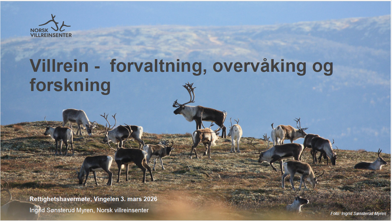 Rettighetshavermøte med fokus på forvaltning, overvåking og forskning