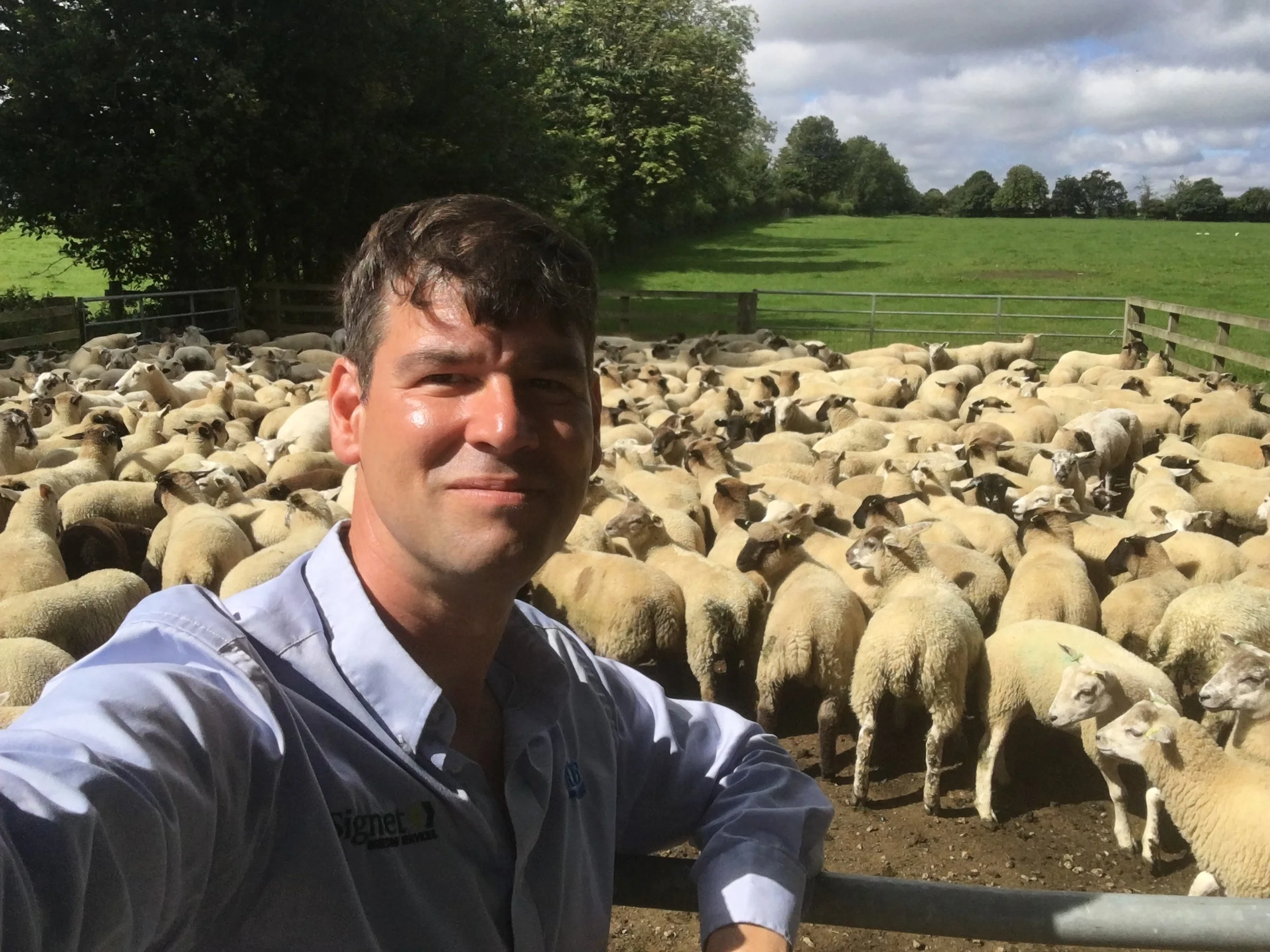 Bringing home the breeding tools