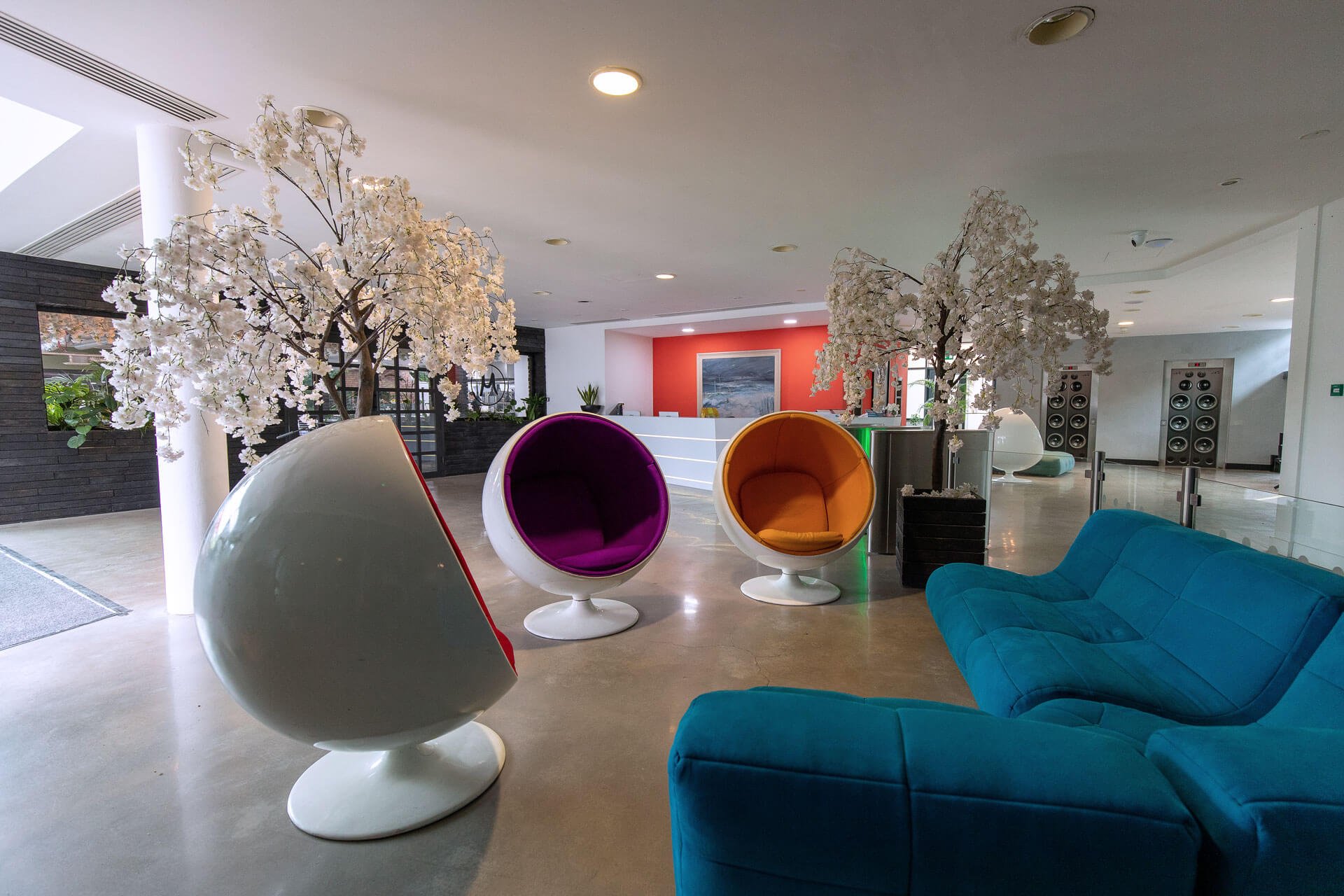 gallery01 - Copy.jpg