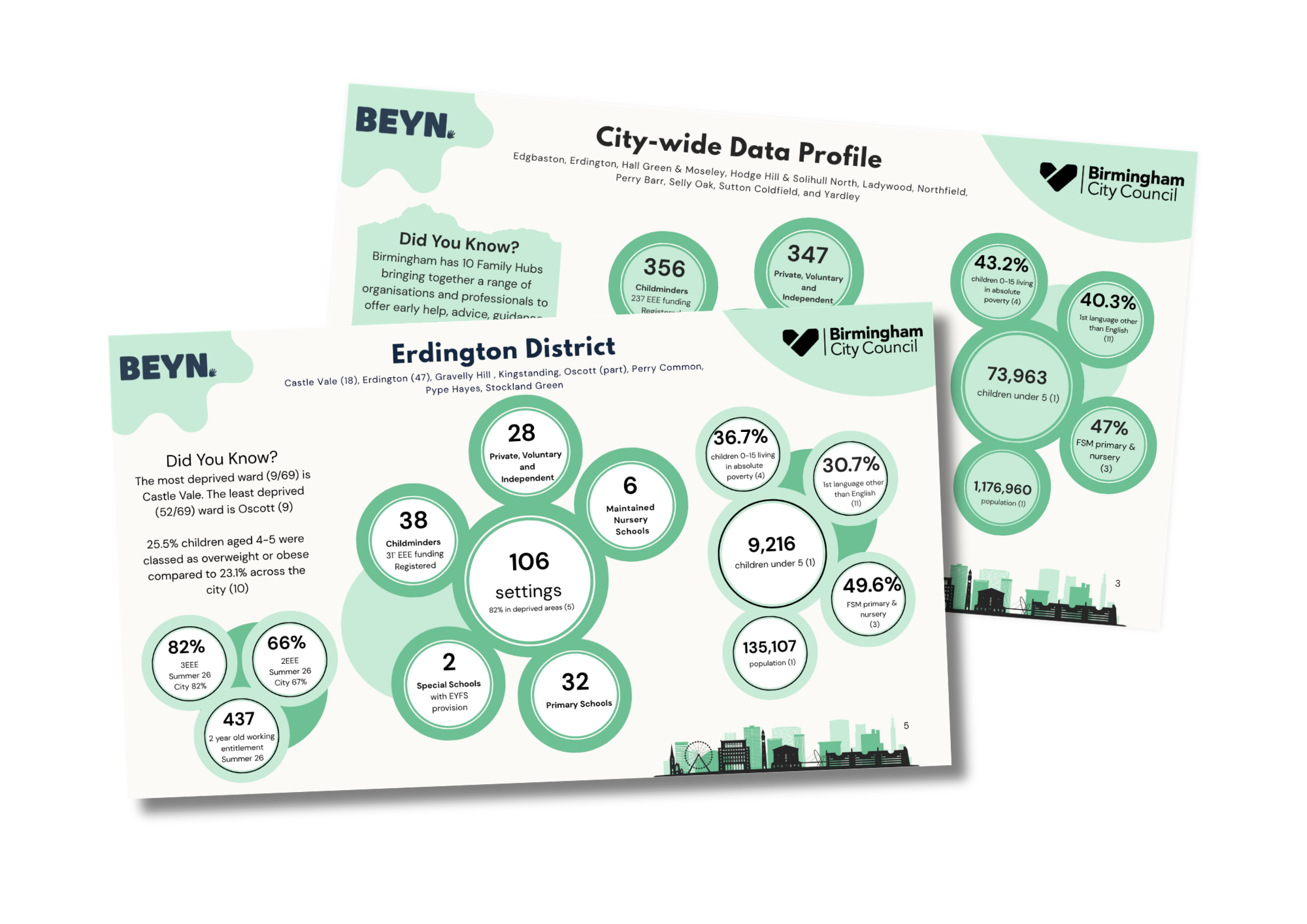Graphic mock-up showing the Erdington District Data Profile and City-wide Data Profile