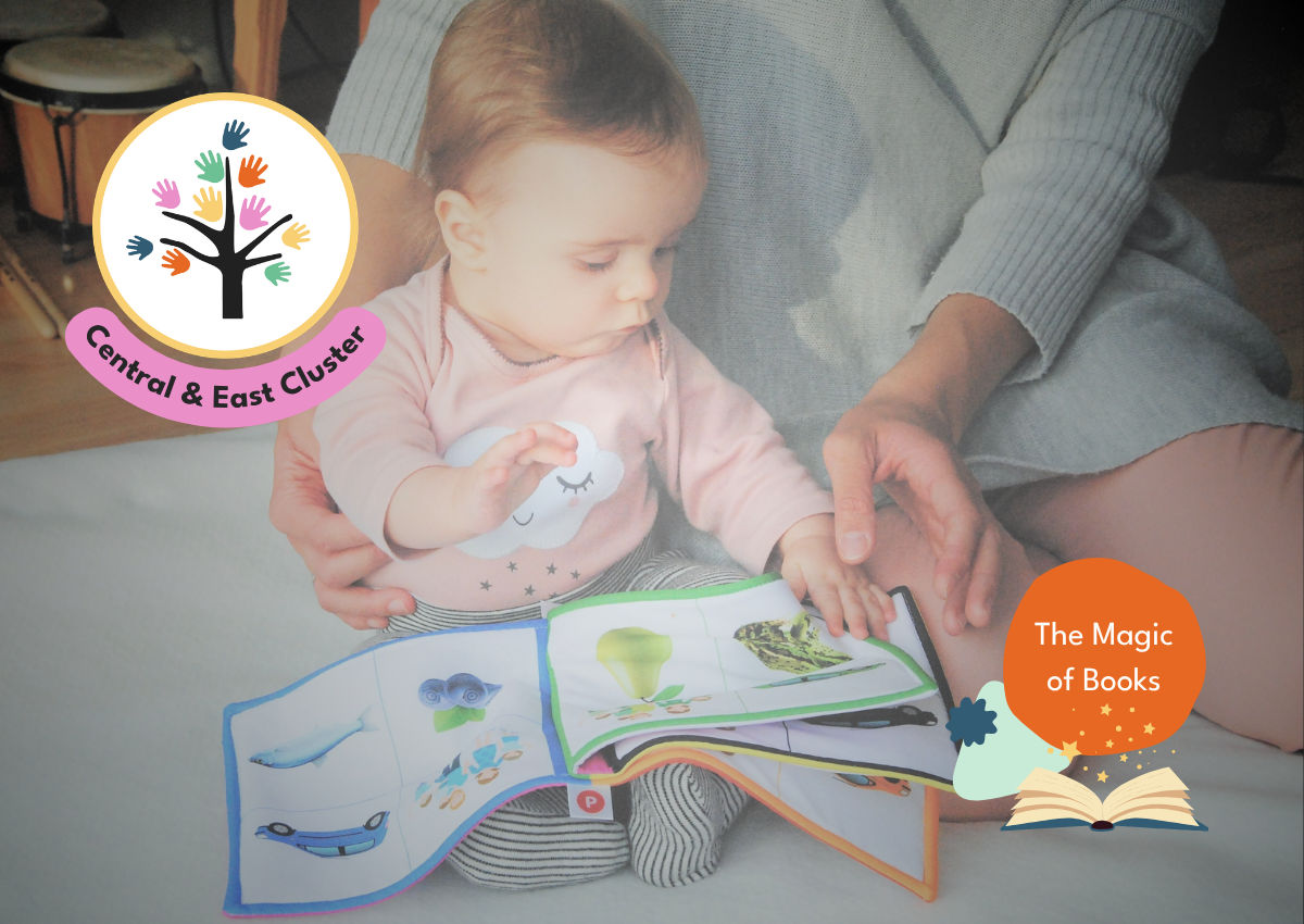 Central &amp; East Cluster Autumn Network Meeting: Magic of Books (Hybrid)