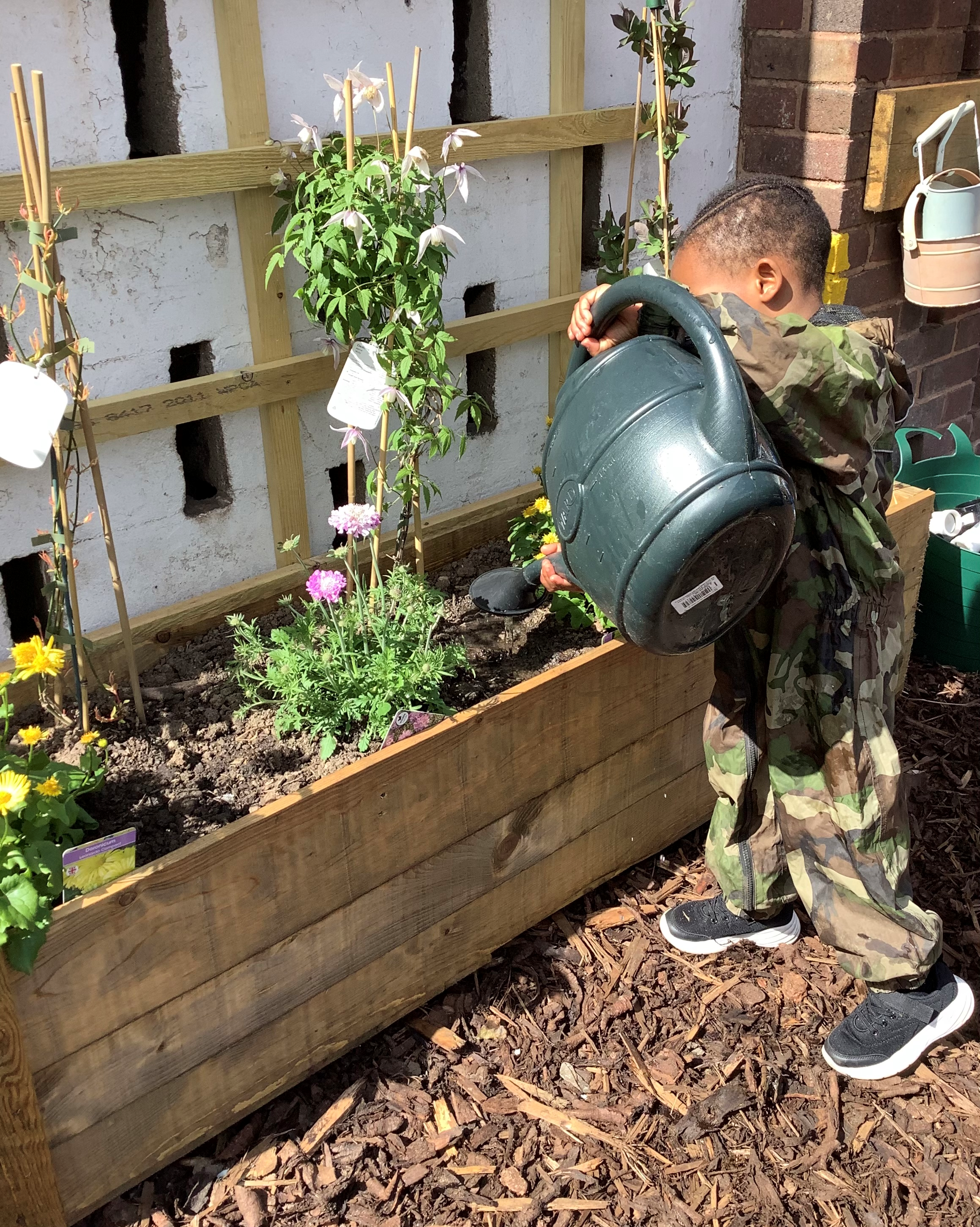 Photo of a young child in a camouflage playsuit using a large plastic watering can to water the plants in a raised bed at The Nest.