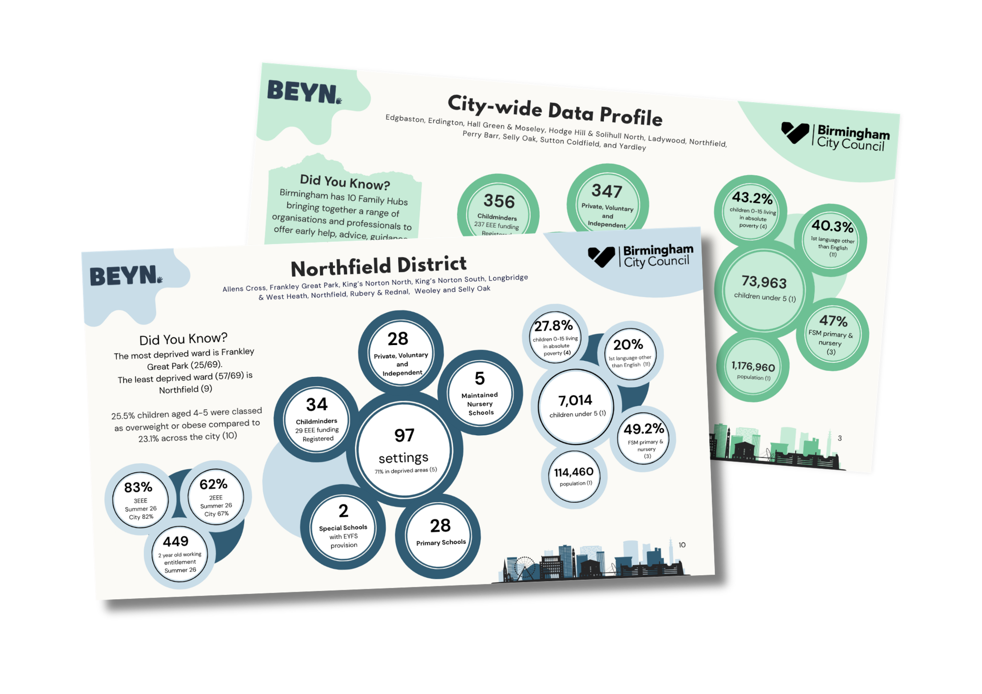 Graphic mock-up showing the Northfield District Data Profile and City-wide Data Profile