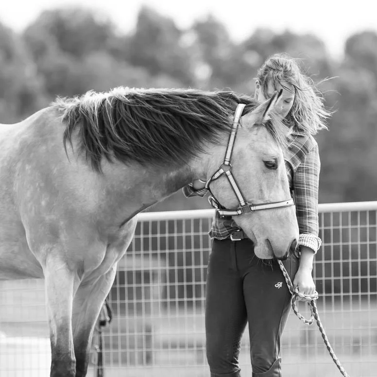 Focus on your Horse Not your Feed 1.jpg