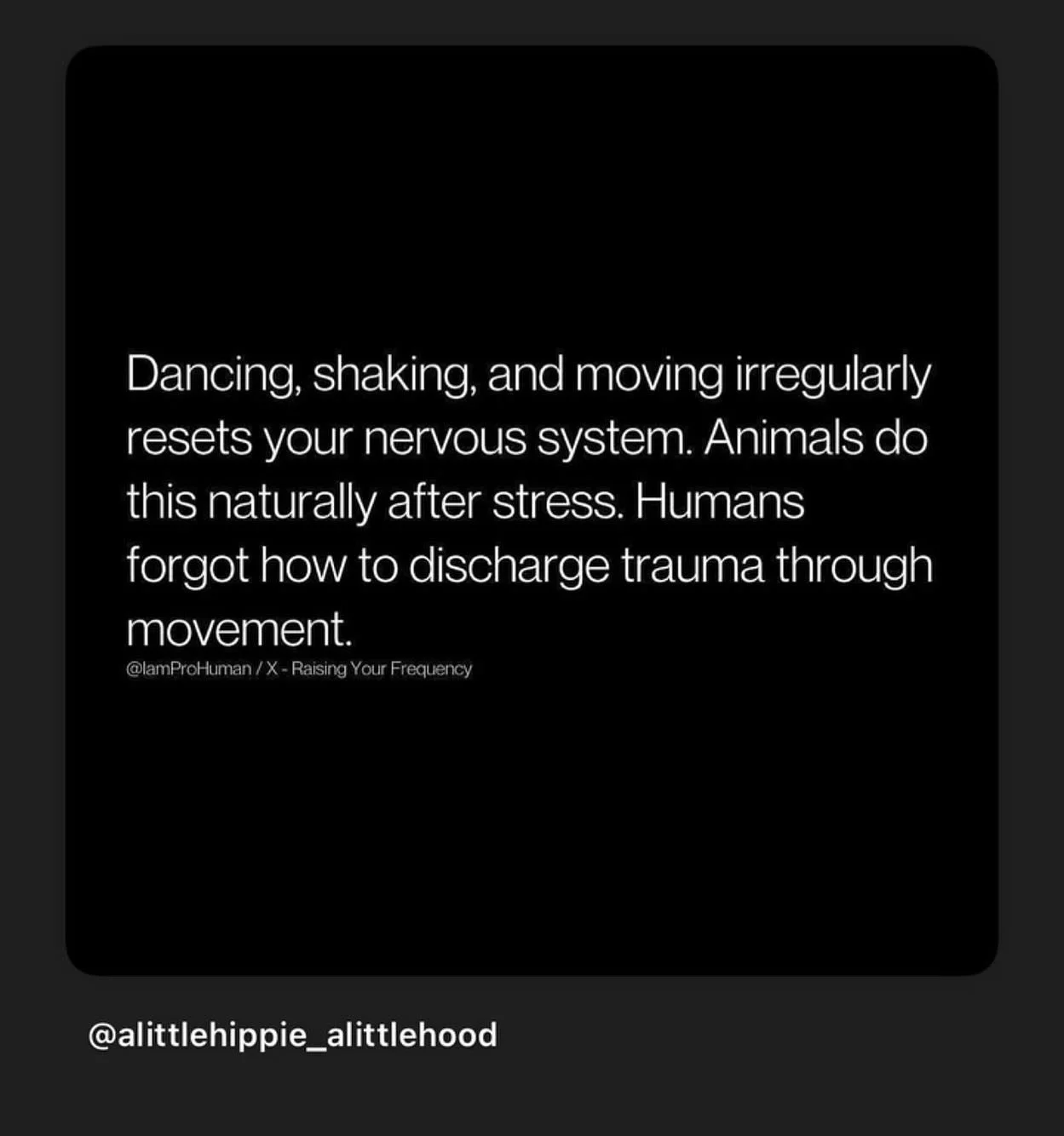 Literally my whole approach right here. 
Shared from @alittlehippie_alittlehood ❤️
#shakeitout