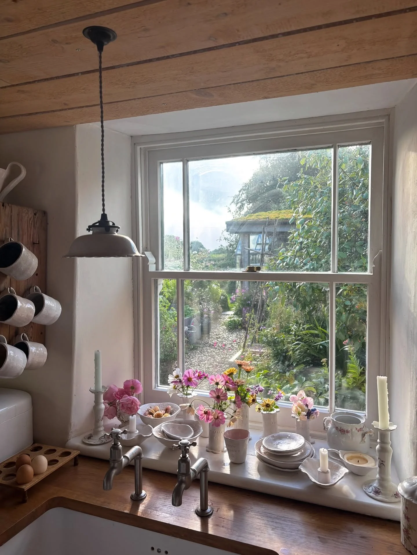 Home 🤍🌸 🐶 🍰