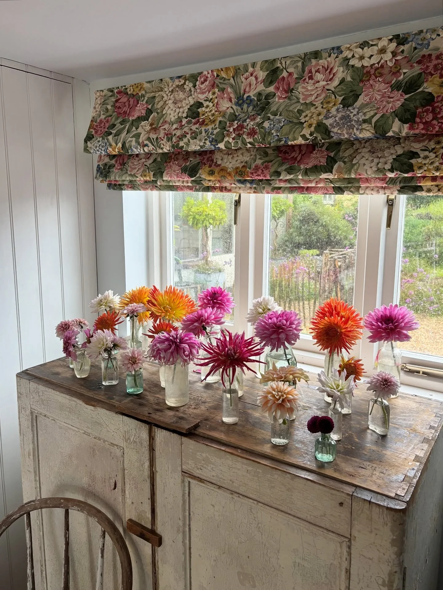 Dahlias saved from the rain 🧡🩷💚