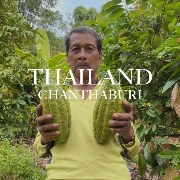 thaichab1.jpeg