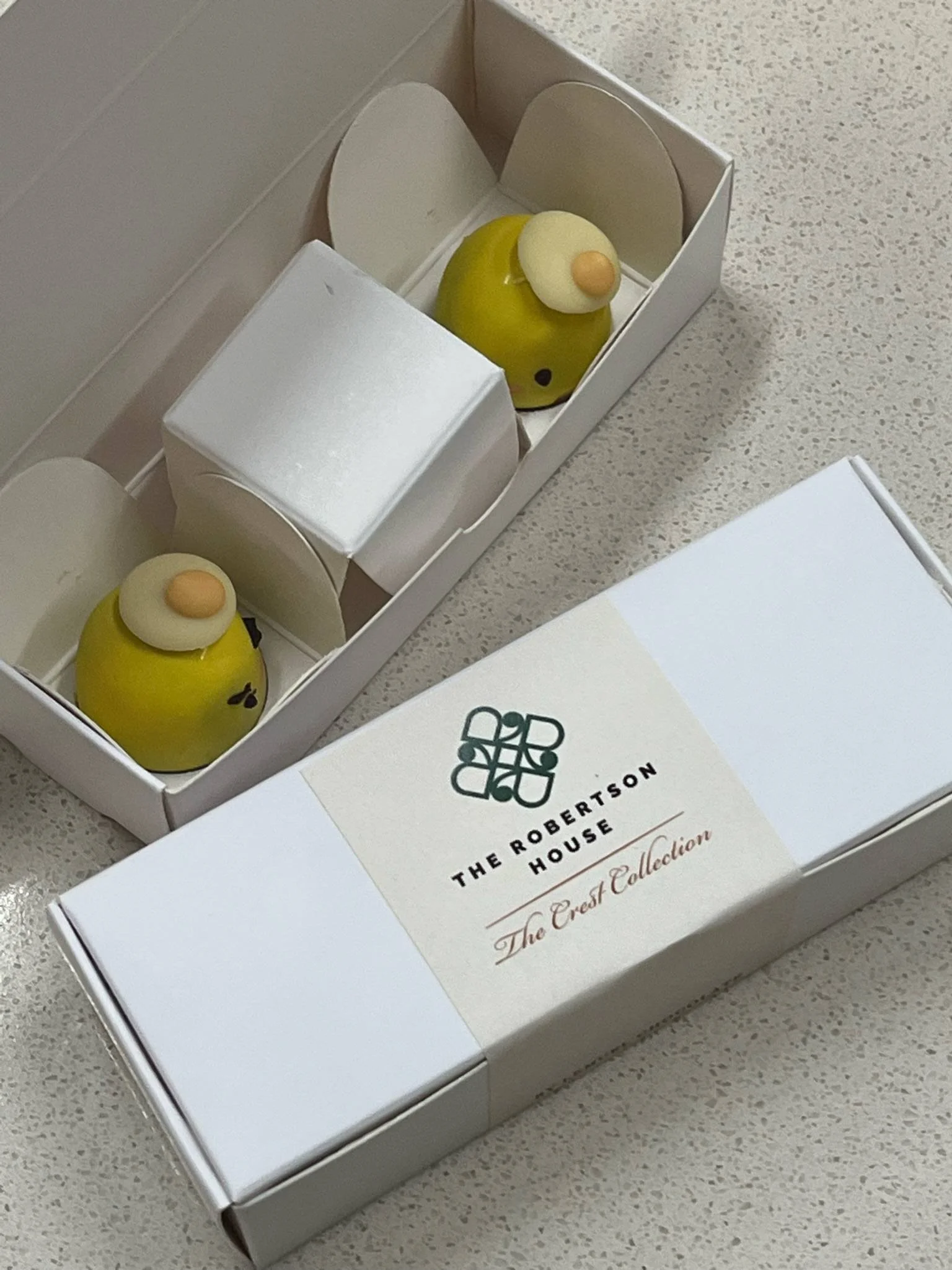 photo_2026-03-27_20-28-55 (2).jpg