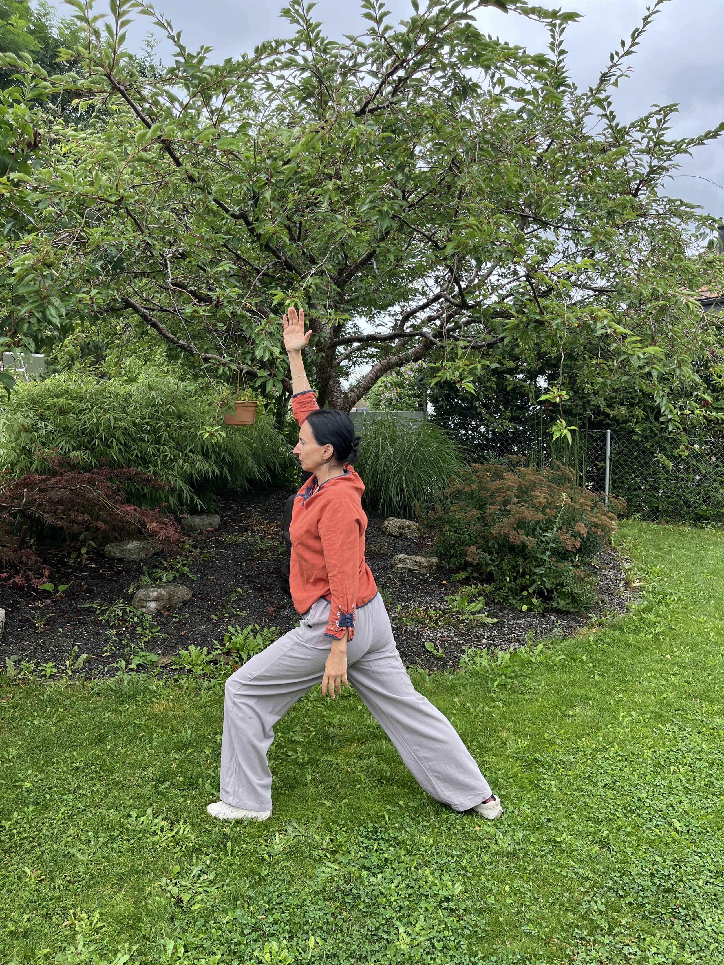 Rentrée 2024 : Le Qi gong des 5 animaux et les exercices de l’automne.