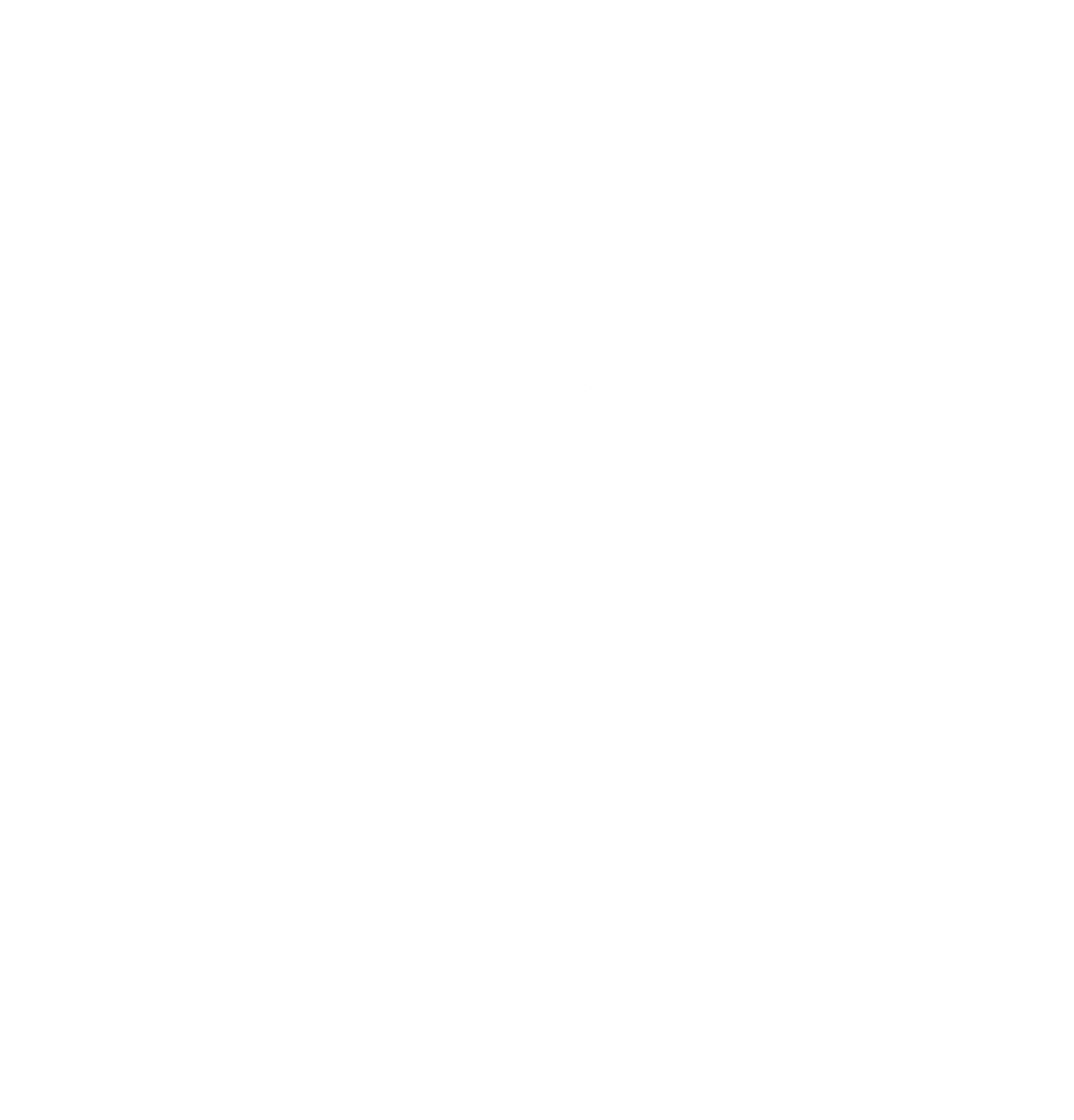 Southern Knights