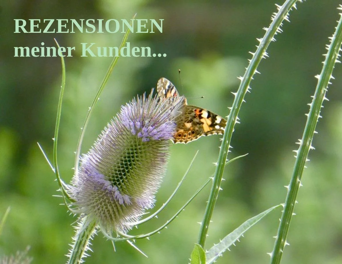 TITEL Kunden Rezensionen.jpg