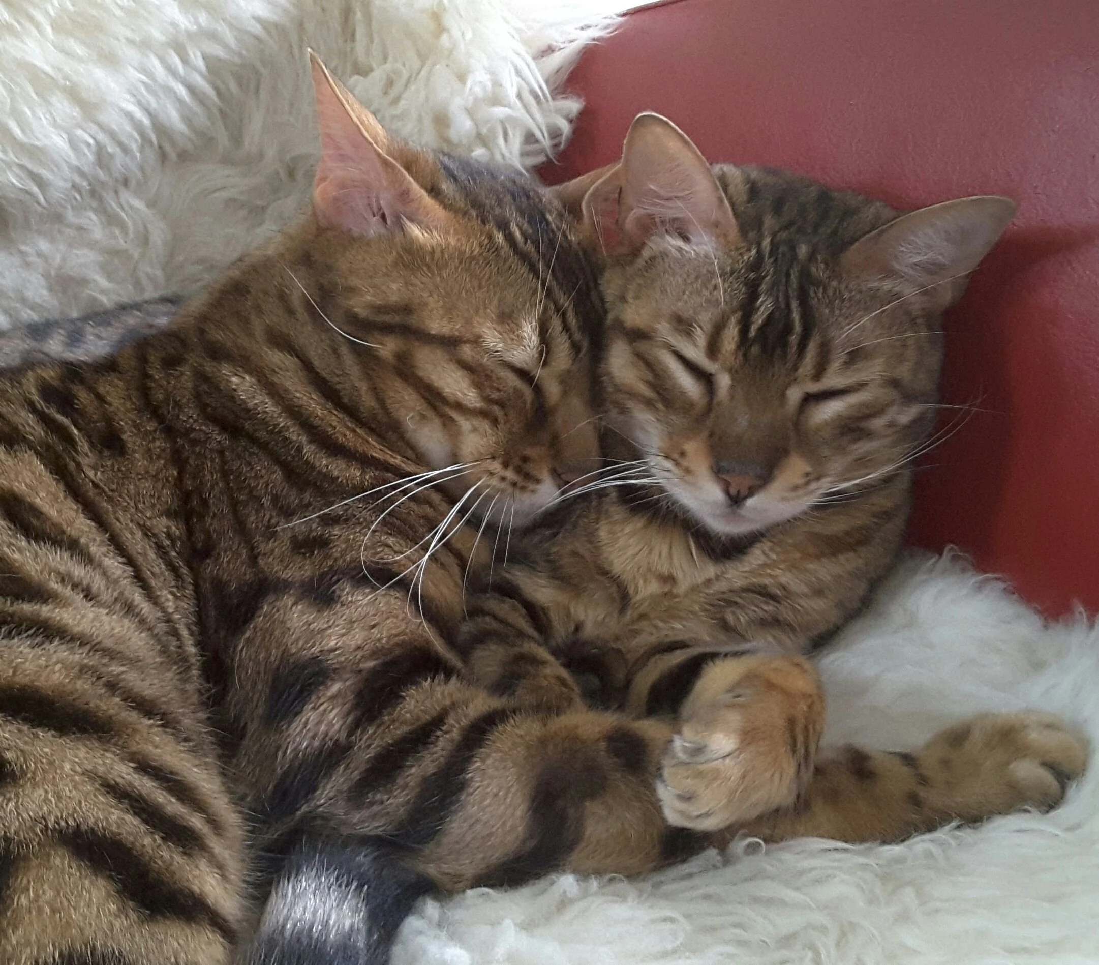 Leo und Fee.jpg