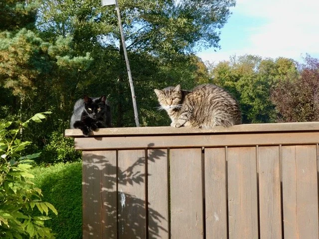 Z Klausi und Myra.jpeg