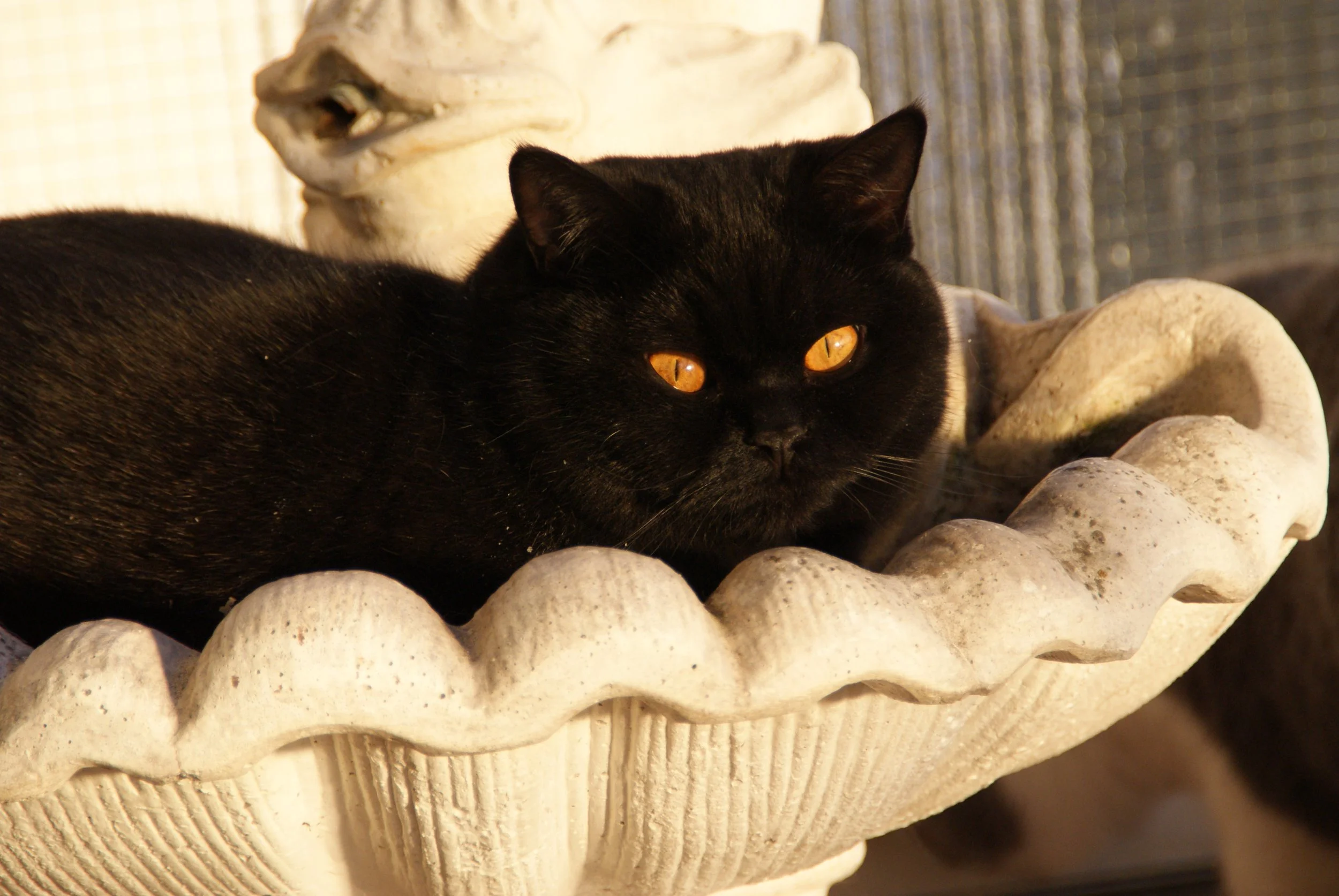 DSC05202.jpg