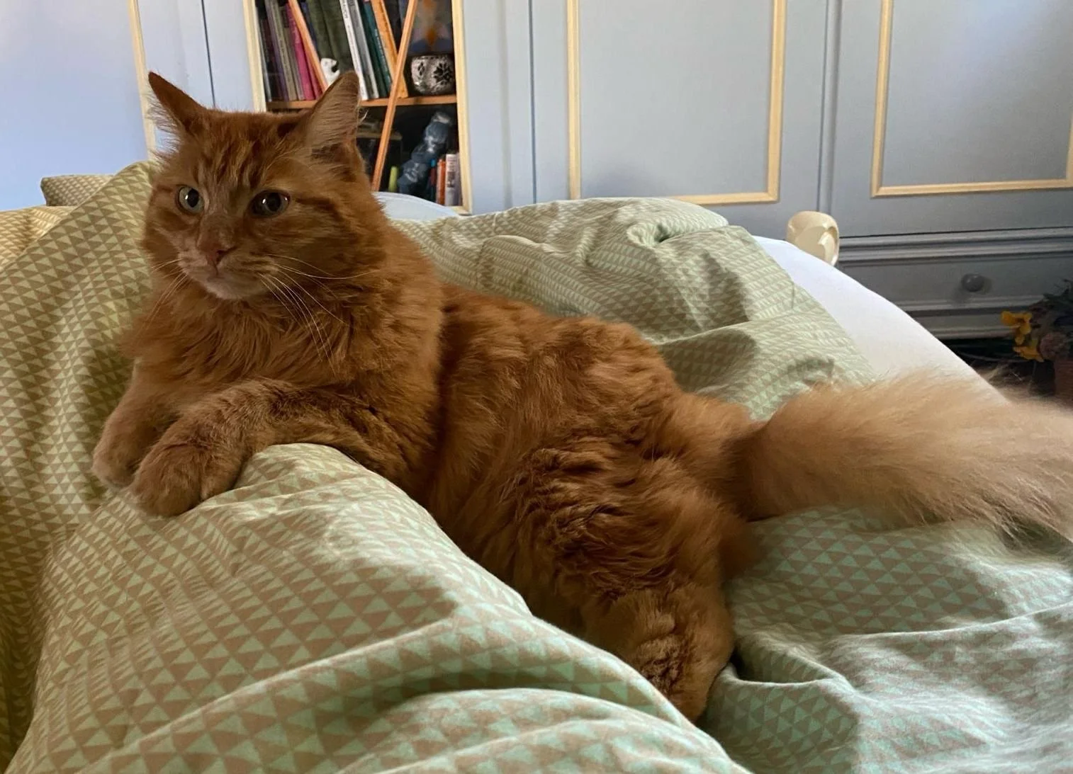 Pumuckl 2.jpg