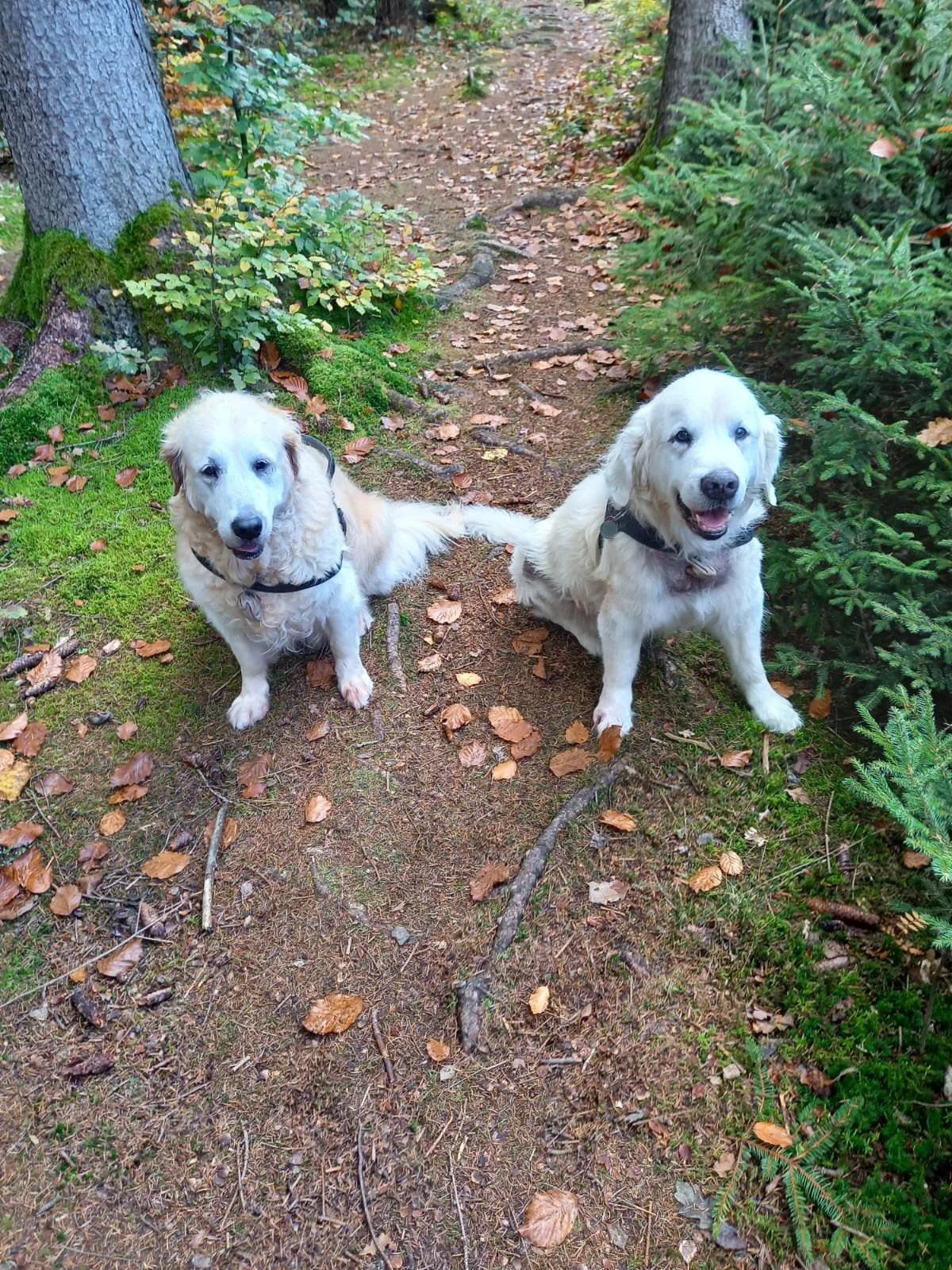 Timmy und Lilly  3c9ebaf5-4975-41c2-a265-e8b501150f75.JPG