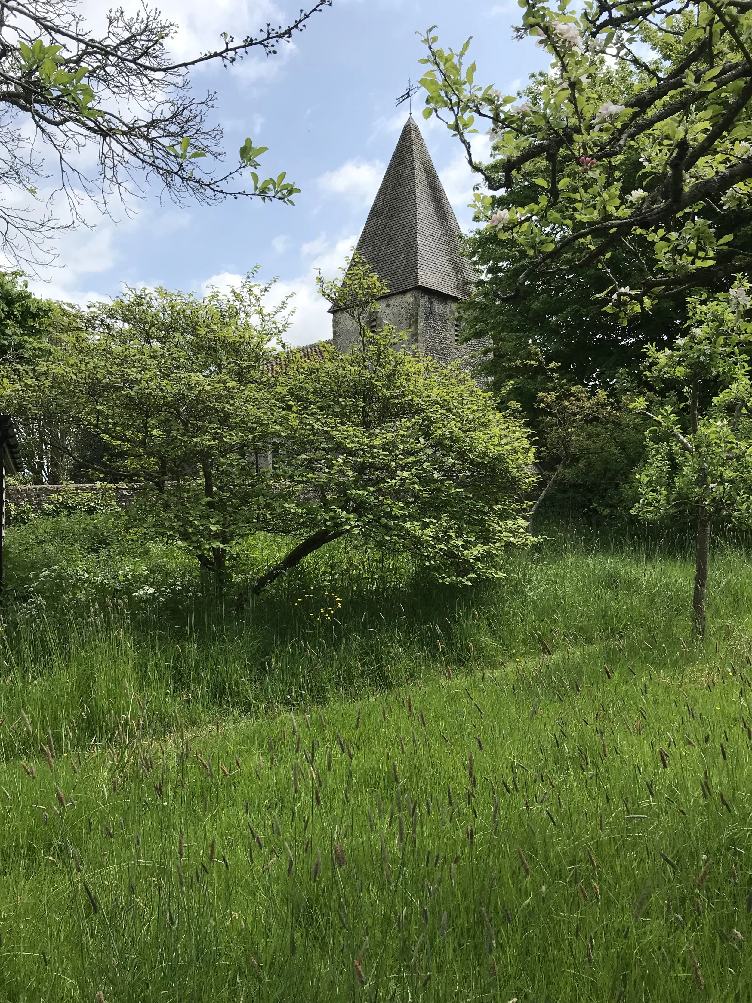 IMG_8065.jpeg