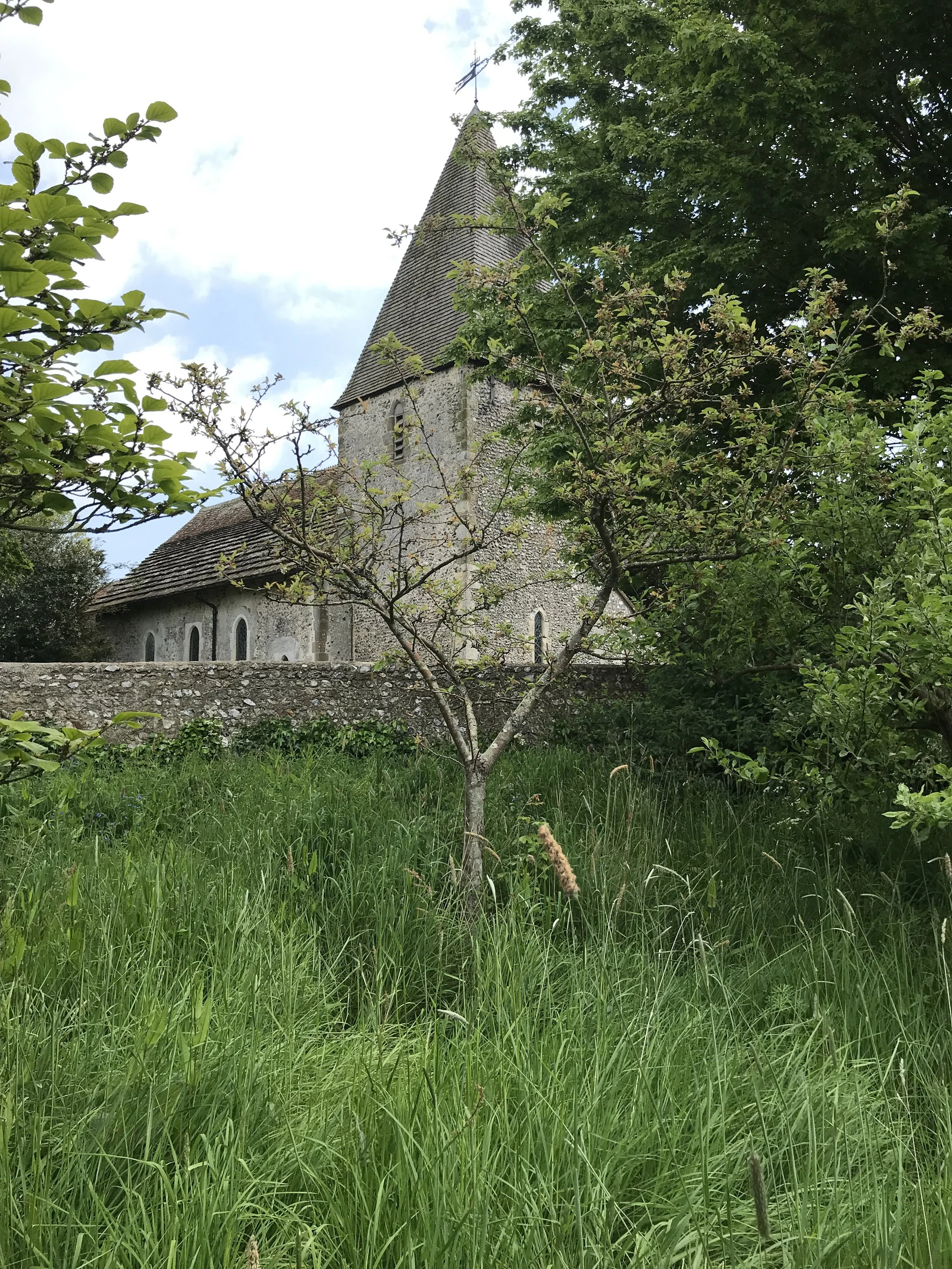 IMG_8076.jpeg