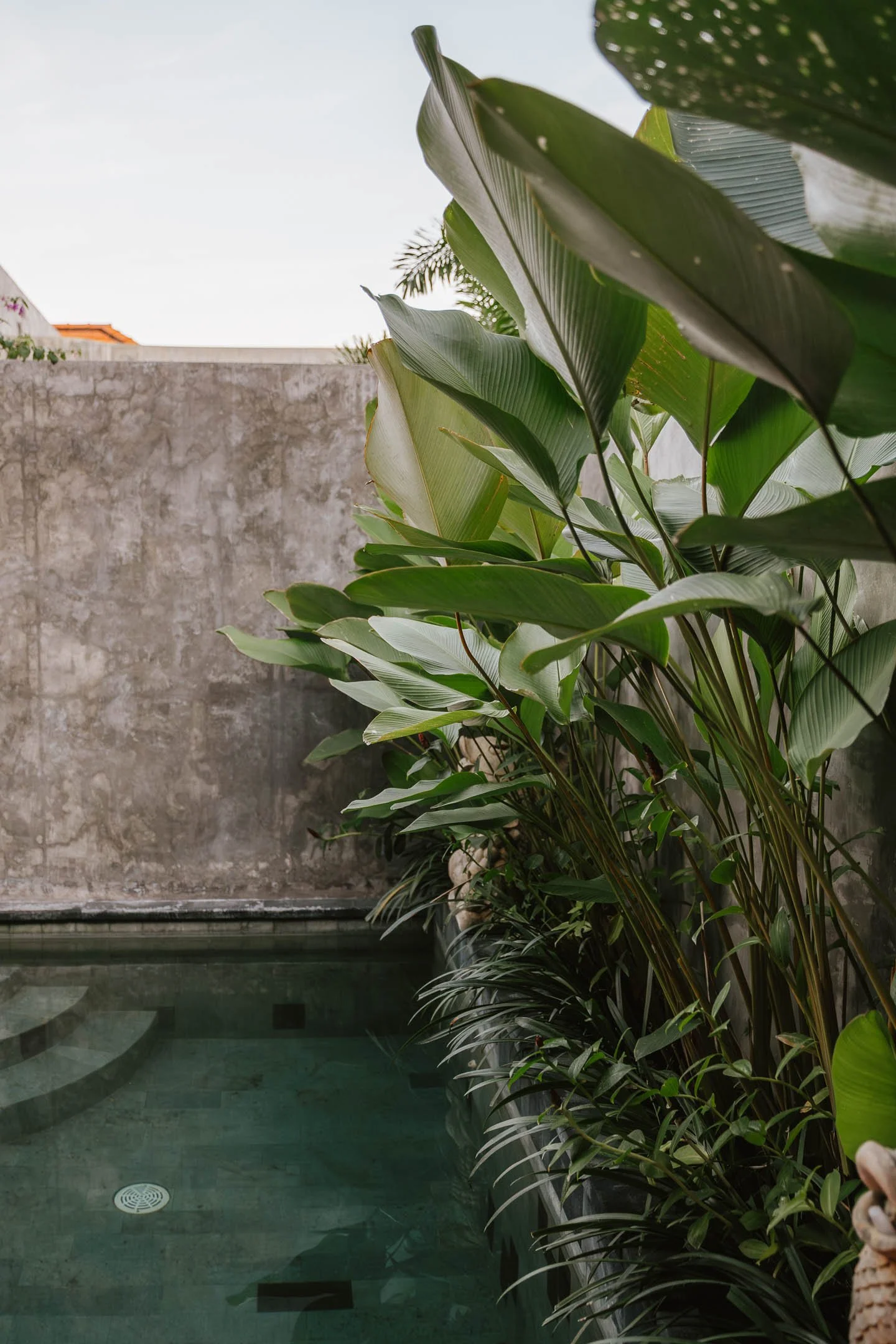 Sydney and Nate Bali Elopement Photography-3.jpg