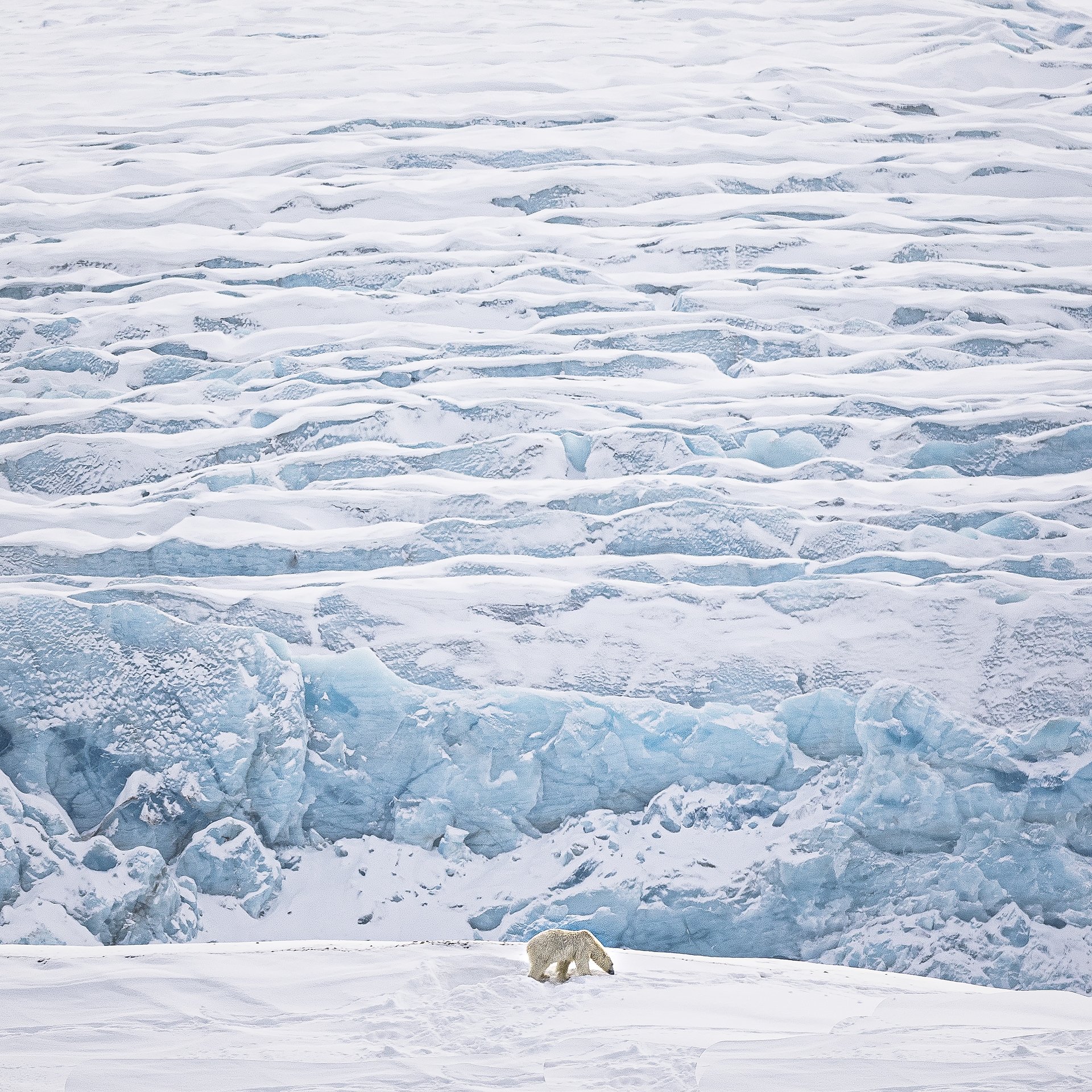 _82A2617-Bearbeitet-Bearbeitet.jpg