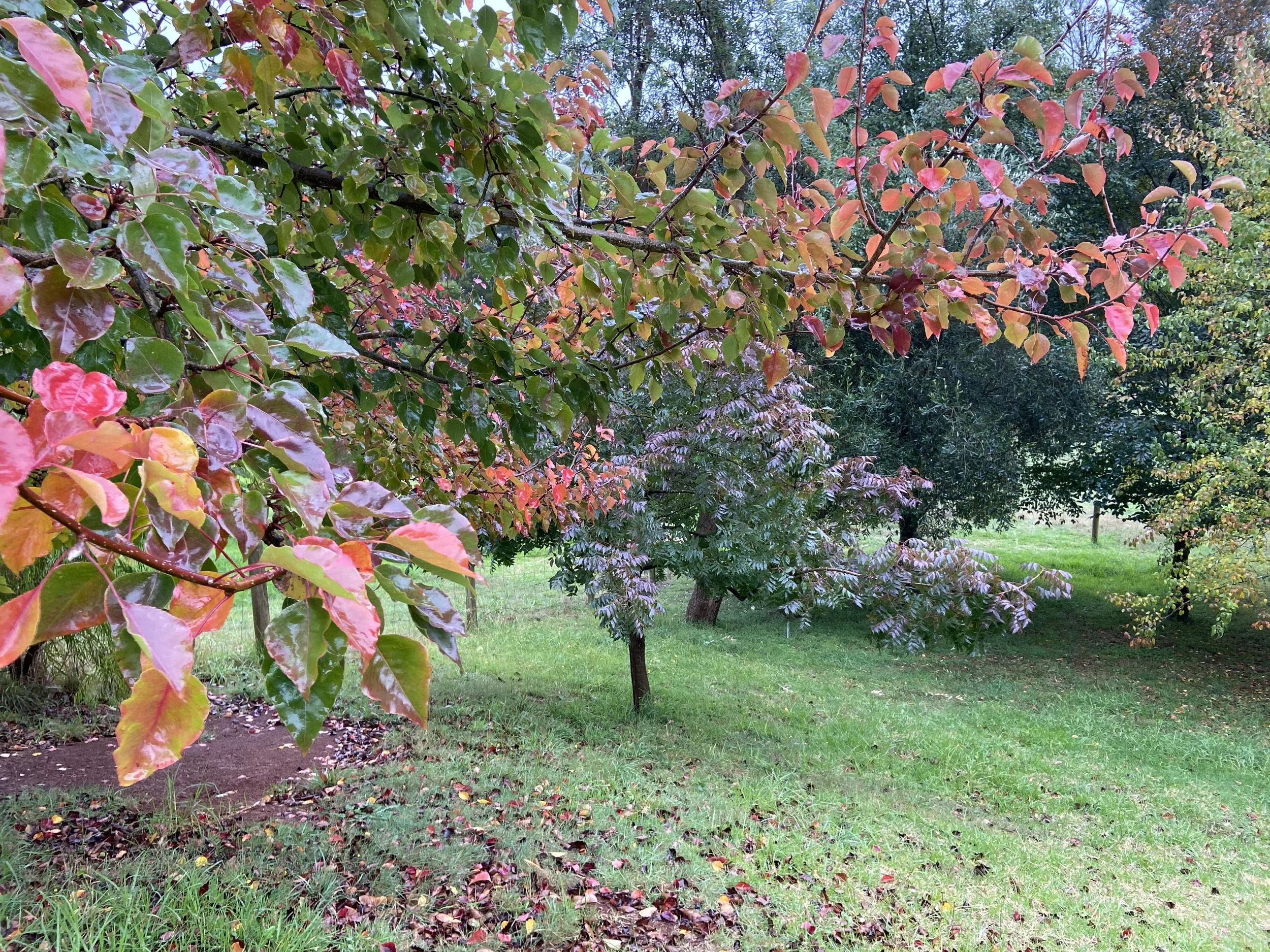 2021-04-20 16.23.54.jpg