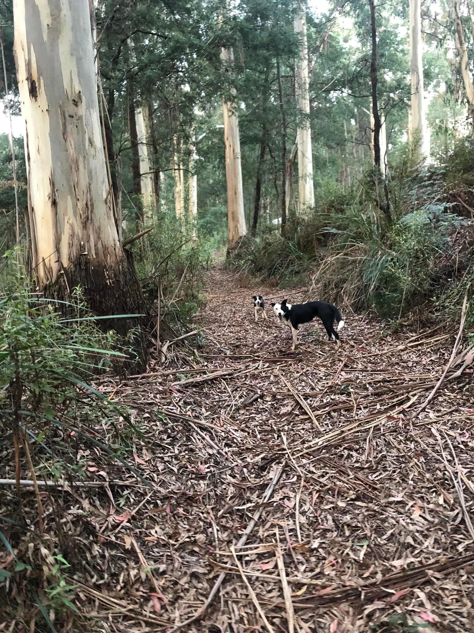 2022-04-21 23.10.55.jpg