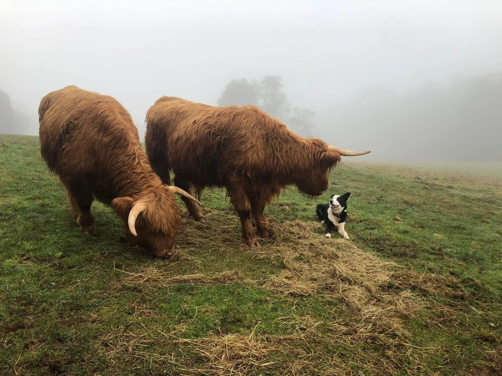 2022-01-01 22.23.57.jpg