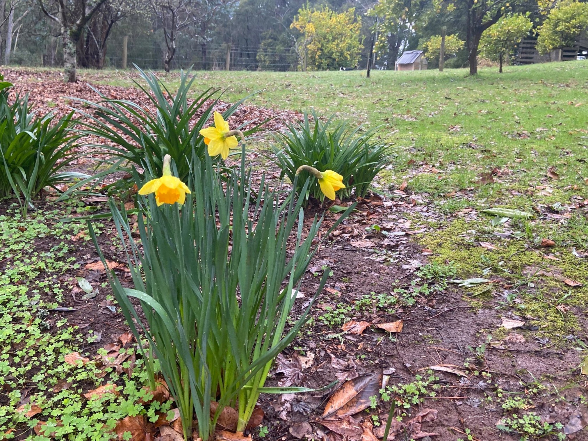 2021-08-03 08.24.10.jpg