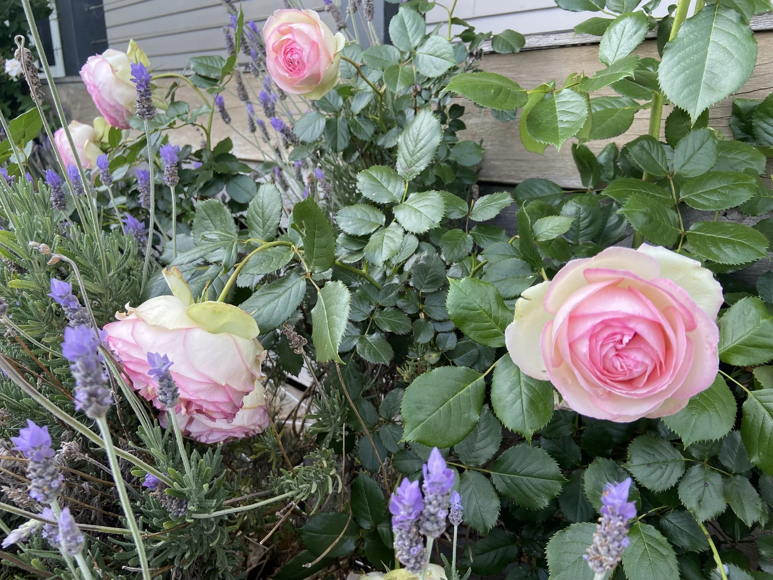 2021-11-05 23.54.19.jpg