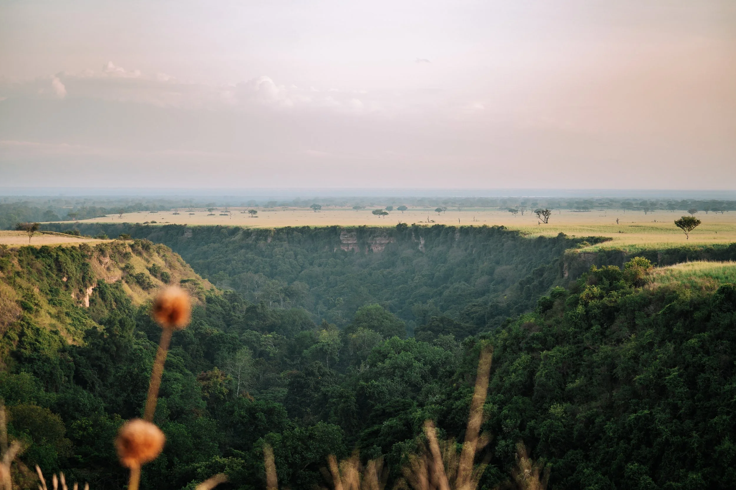 Gorge de Kyambura dans le parc de Queen Elizabeth en Ouganda.
