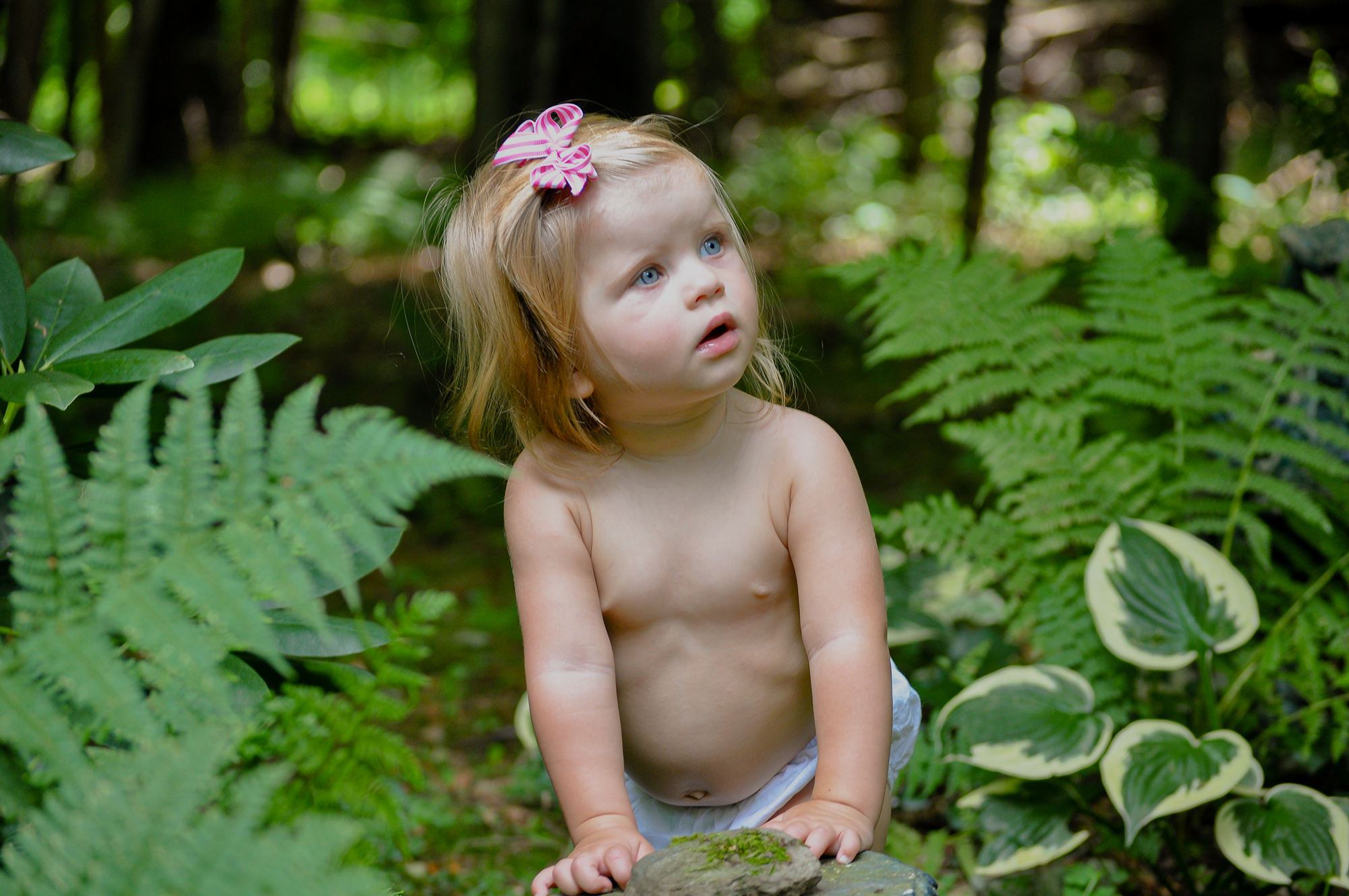 DSC_0039_Small.png