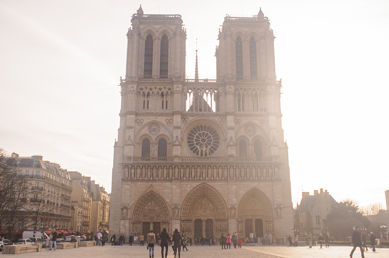 _DSC0875_Small.png
