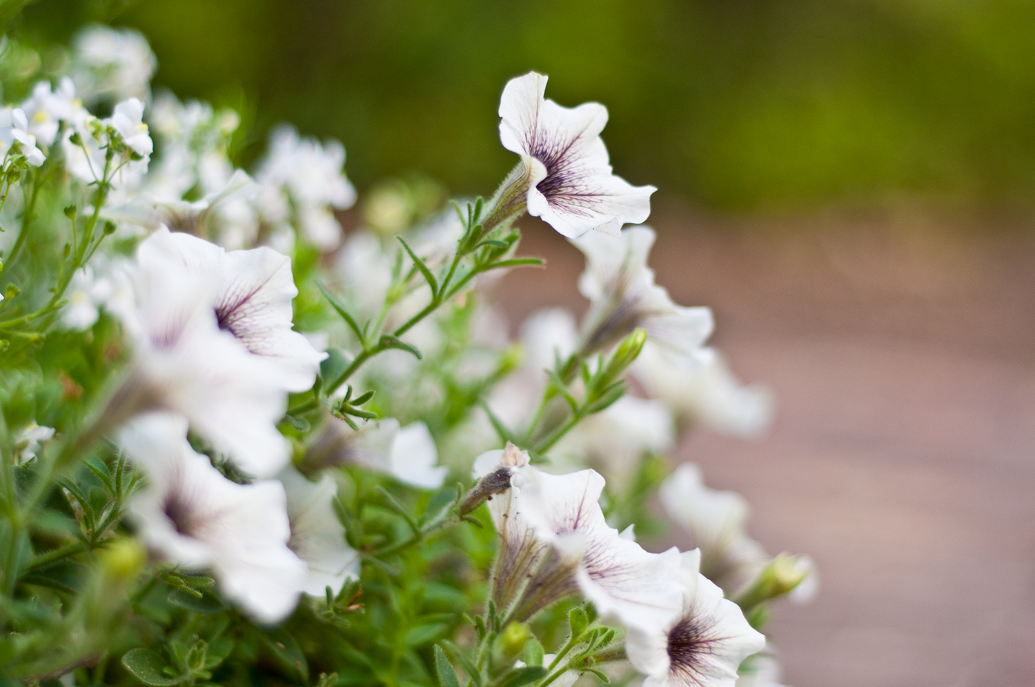 _DSC0643_Small.png