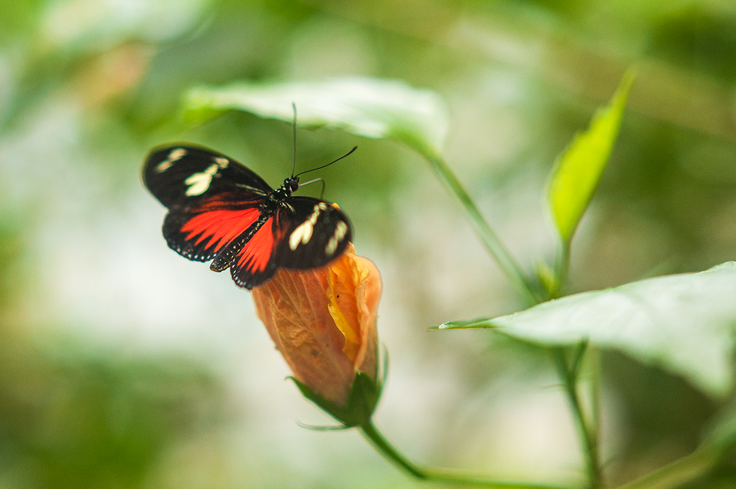 _DSC0944_Small.png