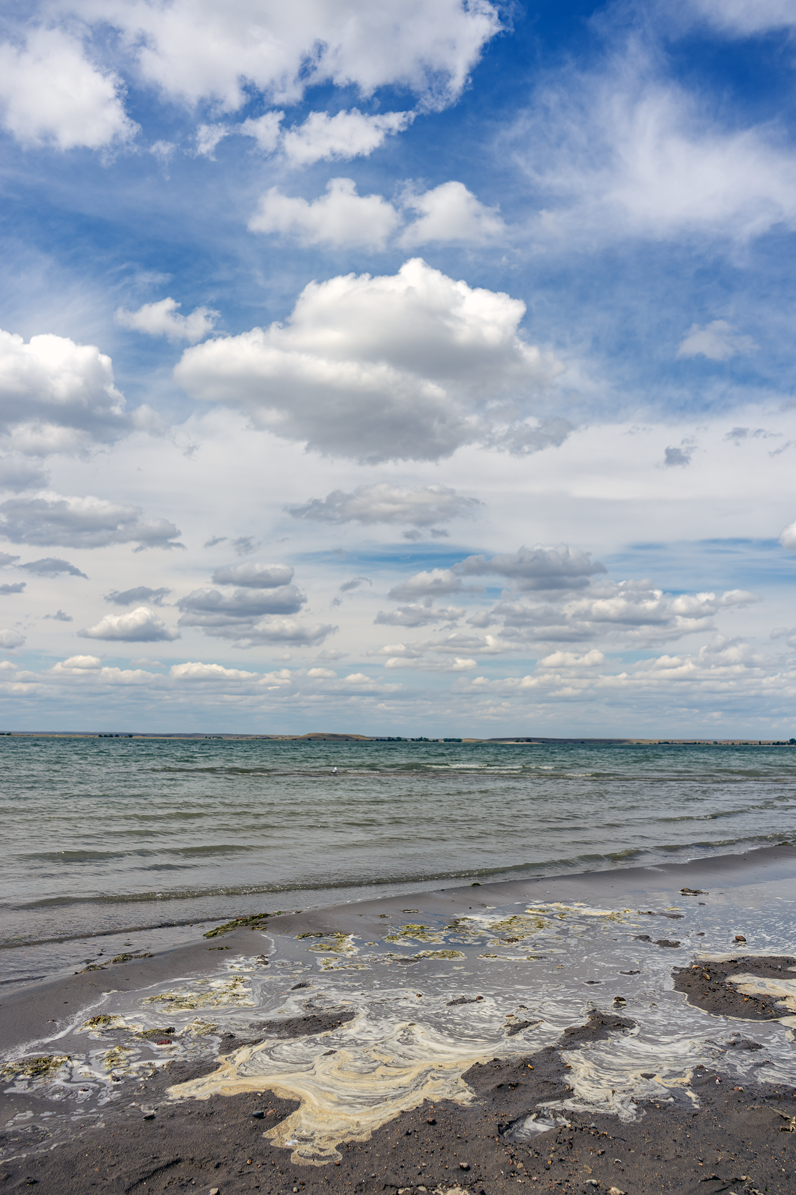 DSC04881_S.png