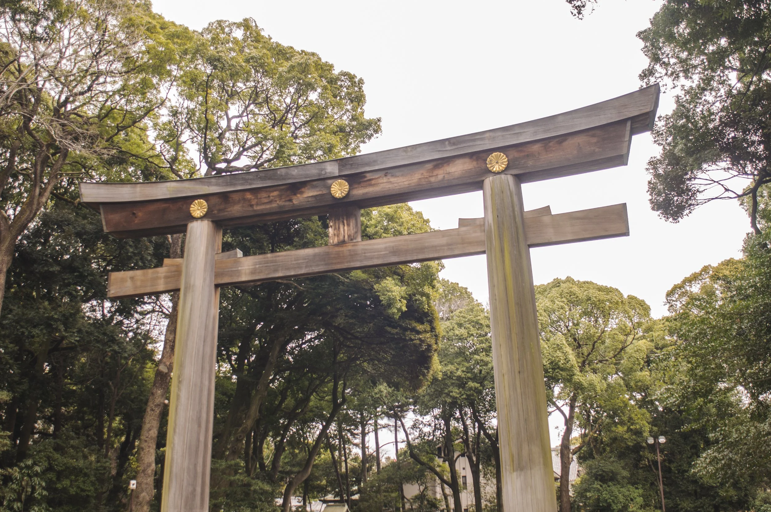 Meiji Jingu Shrine in Tokyo, Japan