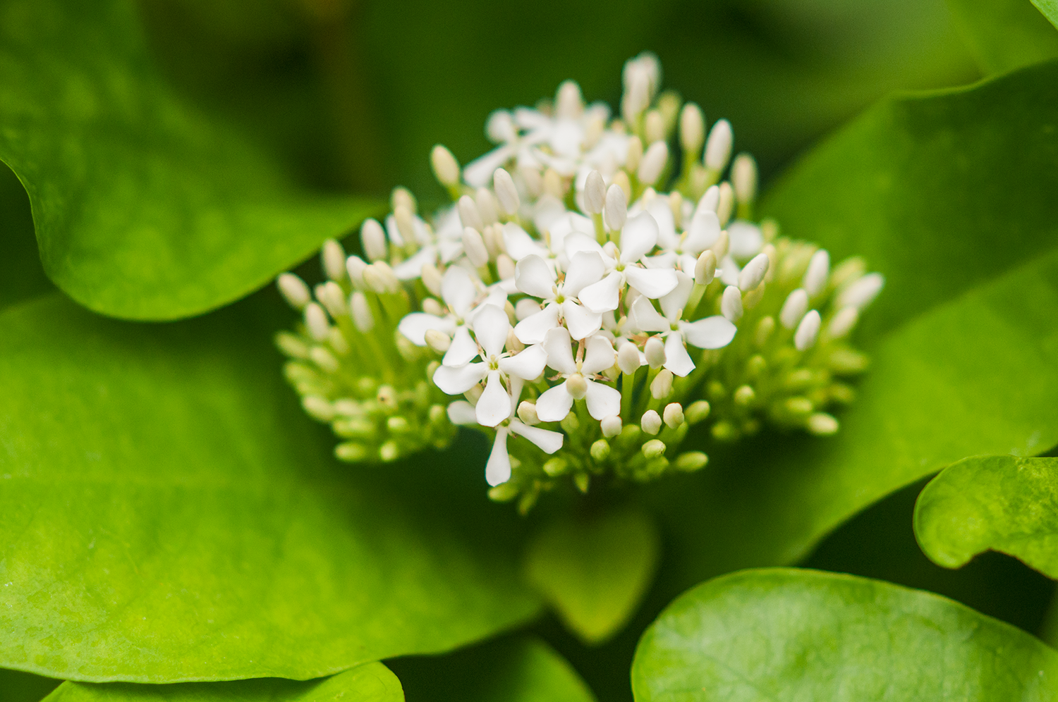 _DSC0957_Small.png