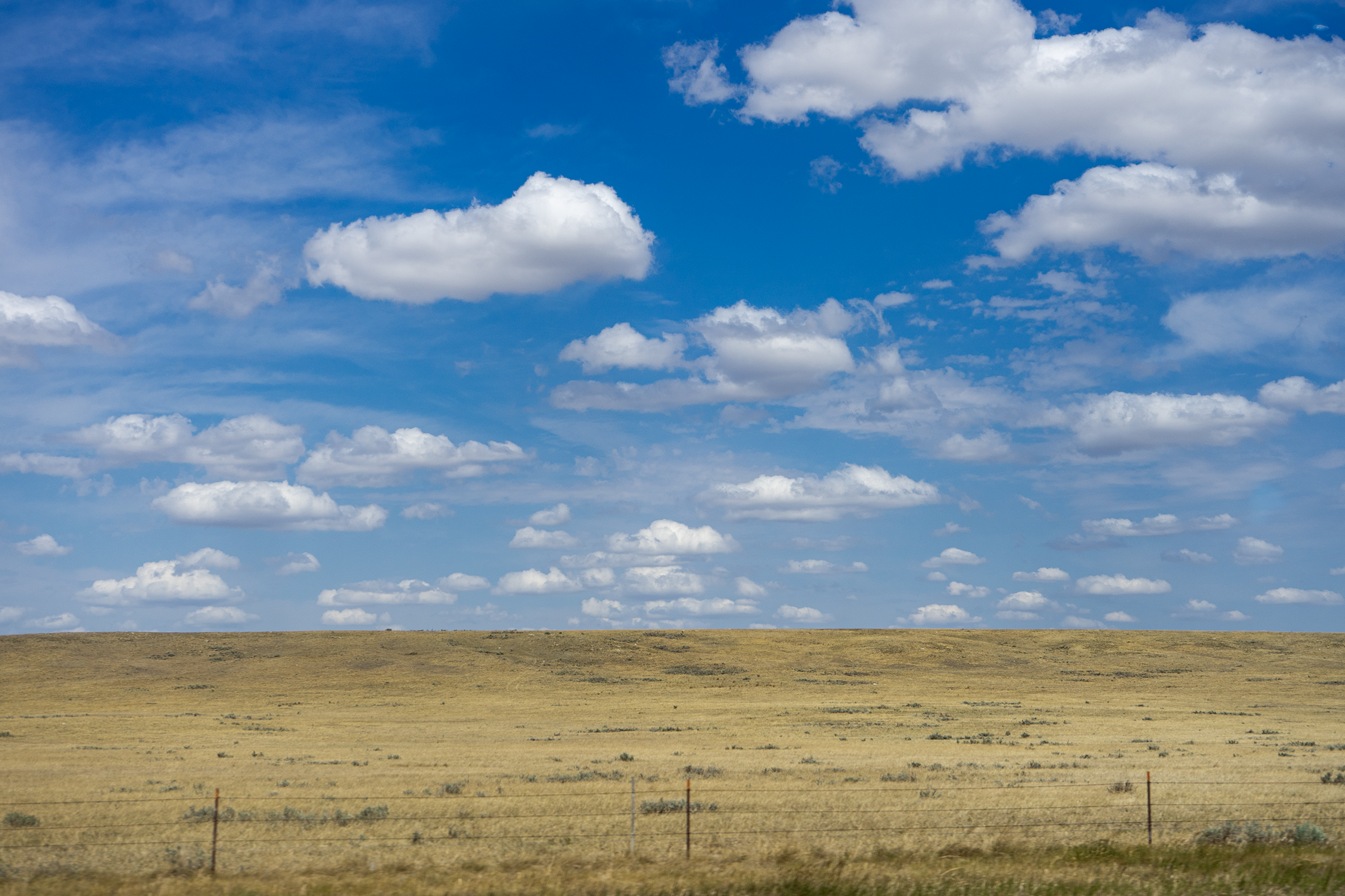 DSC04899_S.png