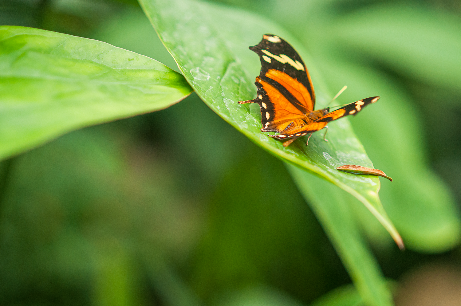 _DSC0954_Small.png