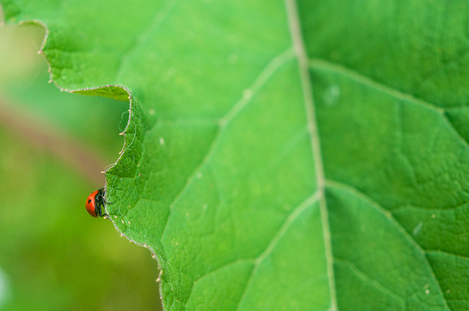 _DSC0626_Small.png