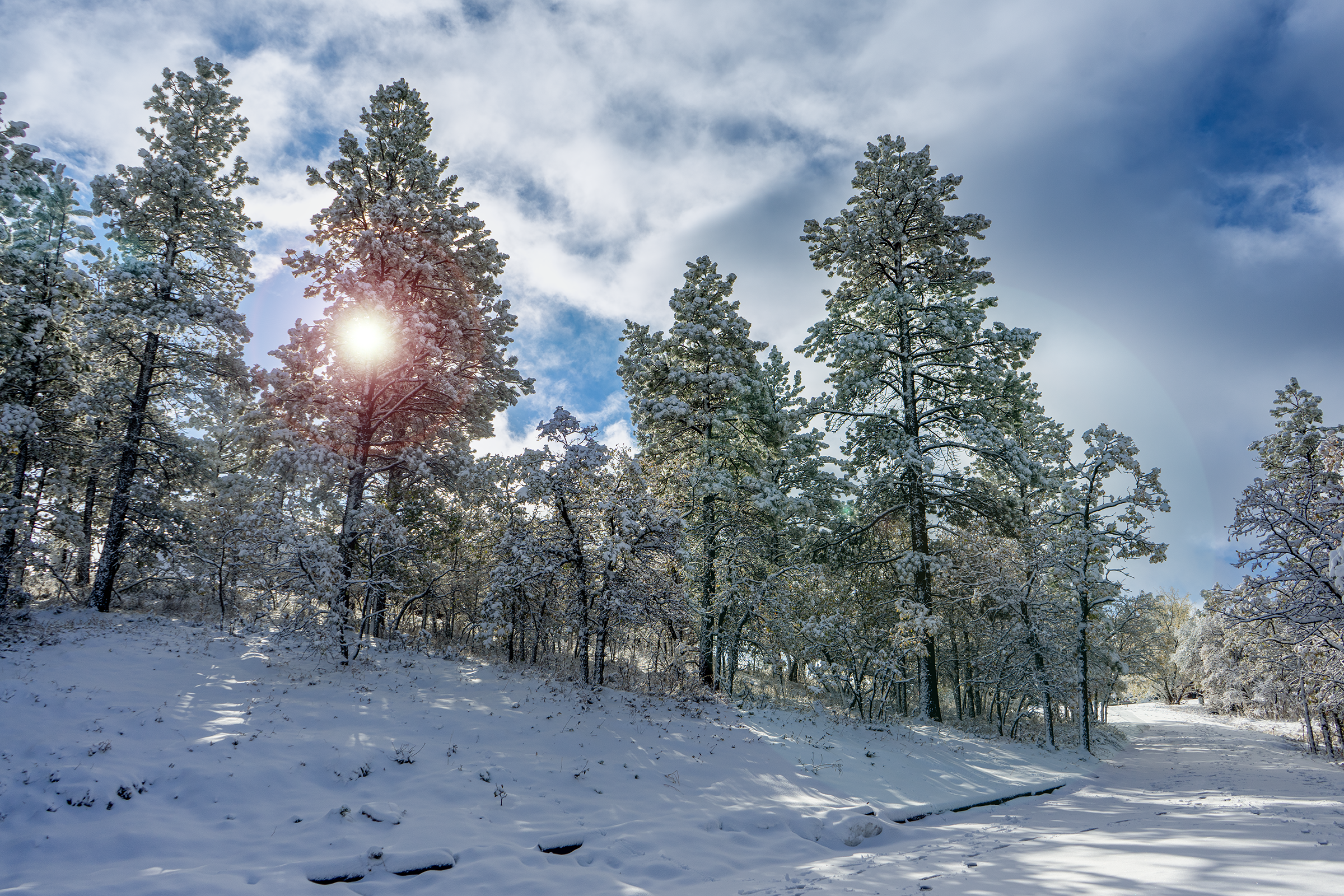 DSC08574_S.png