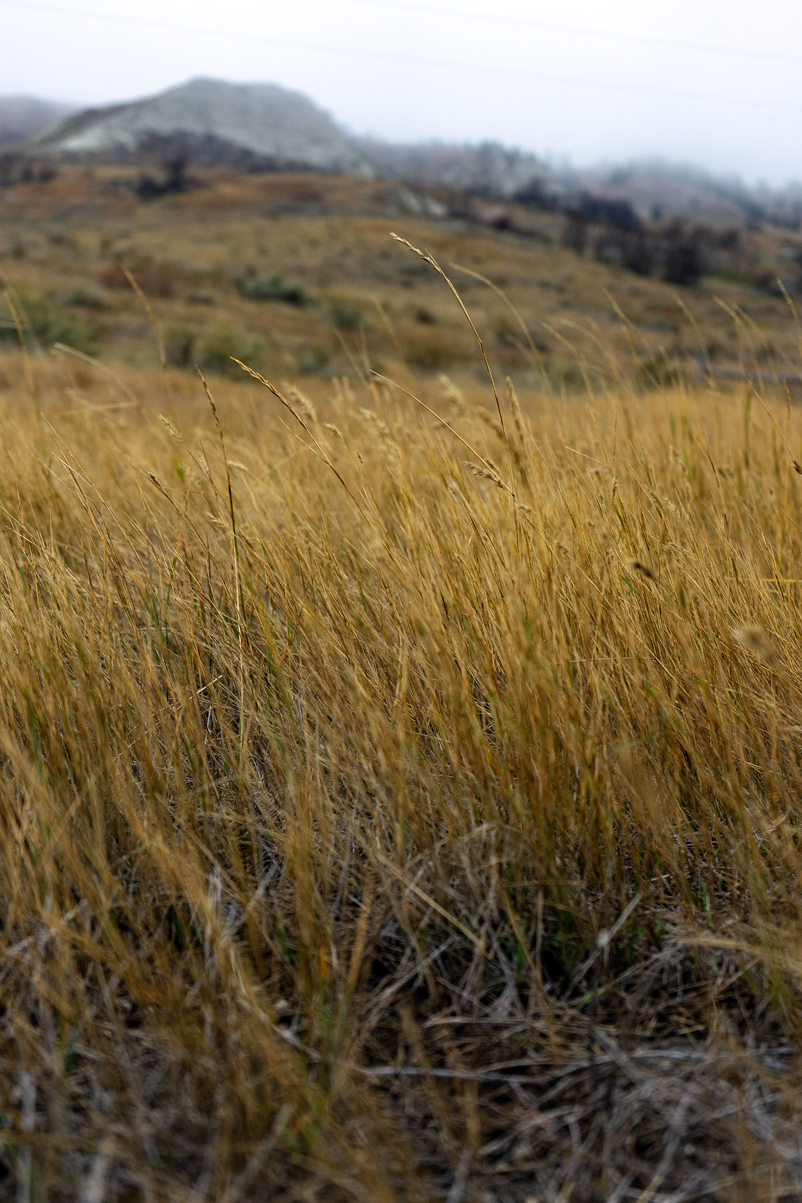 DSC08489_S.png