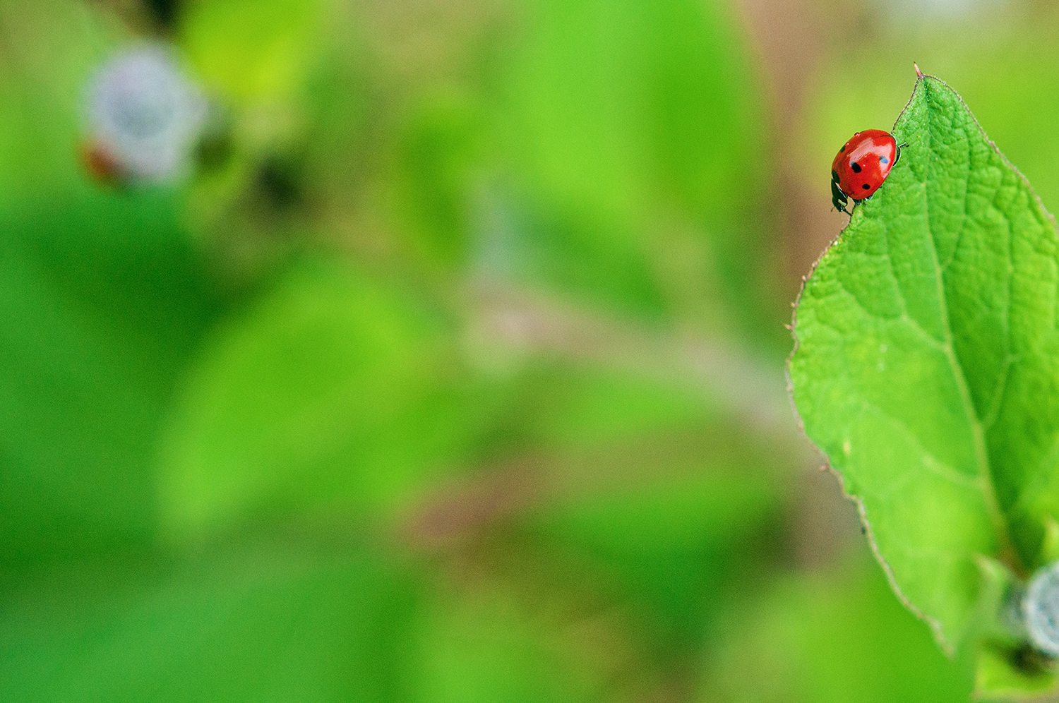 _DSC0636_Small.png
