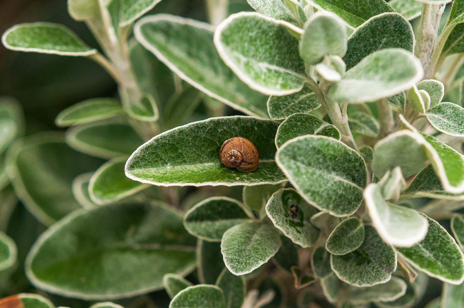 _DSC0983_Small.png