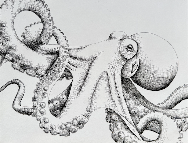 Screenshot 2026-04-06 at 3.02.55 PM.png