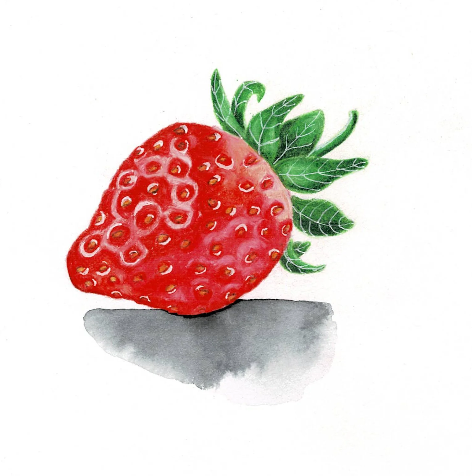 strawberry commission for nice final.jpg