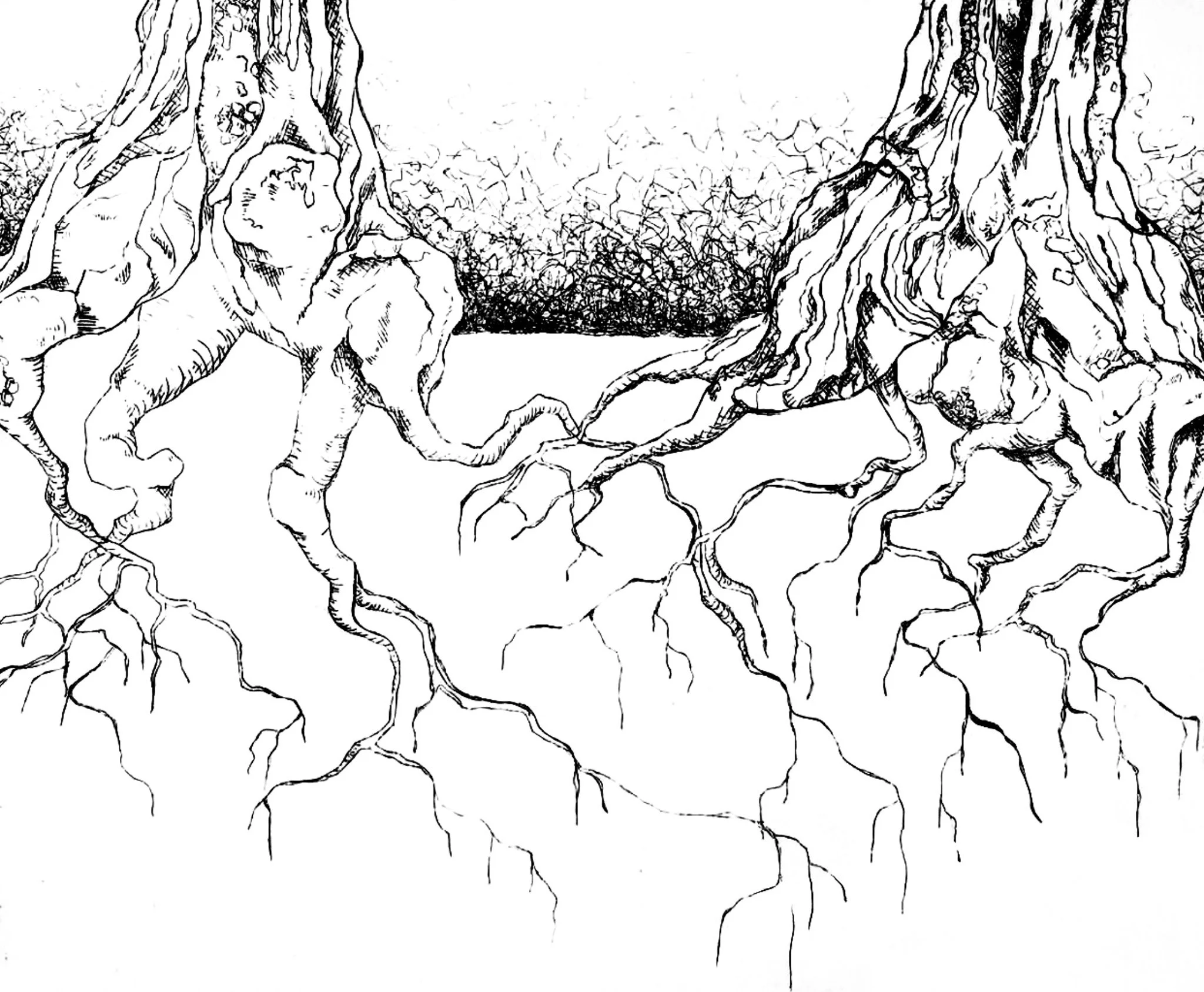 Intertwined Mulberry Illustration 2017-2.jpg