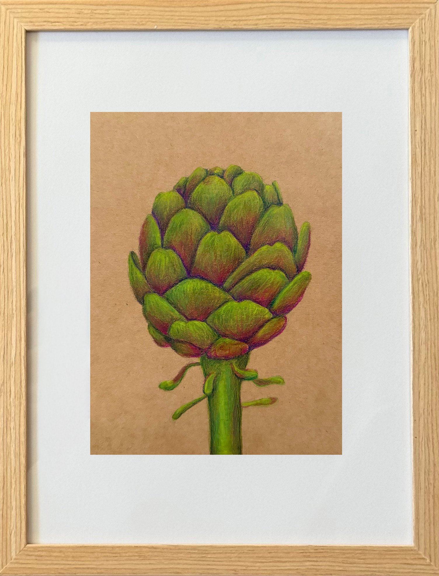 artichoke illustration 2026 2.jpg